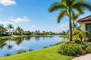 Lotus, Lotus Palm, and Lotus Edge Homes for Sale
